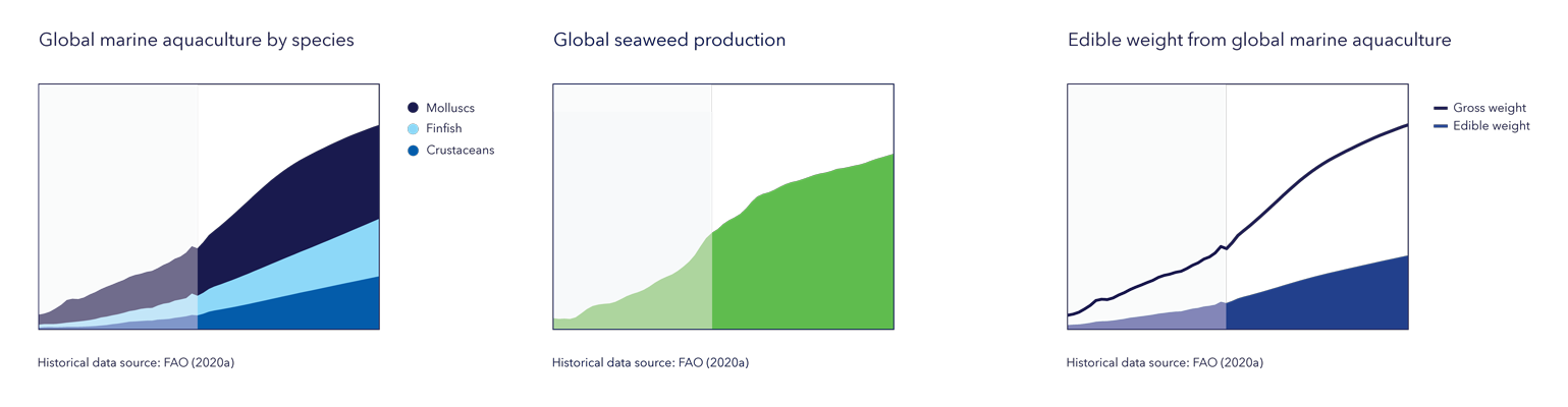图:按物种划分的全球海洋养殖量、全球海藻生产量、全球海洋养殖可食用权